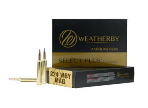 Weatherby 224 WBY Mag Ammunition 37gr Hammer Custom
