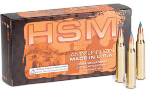 HSM .204 Ruger 32gr BlitzKing Ammo - 20 Rounds