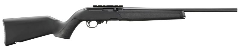 Ruger 10/22 Carbine .22LR Semi-Auto Rifle with Scope Base