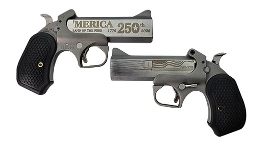 BOND ARMS 250TH REDNECK 45-70 SS 4.25″ - No Credit Card Fees - Low, flat rate shipping