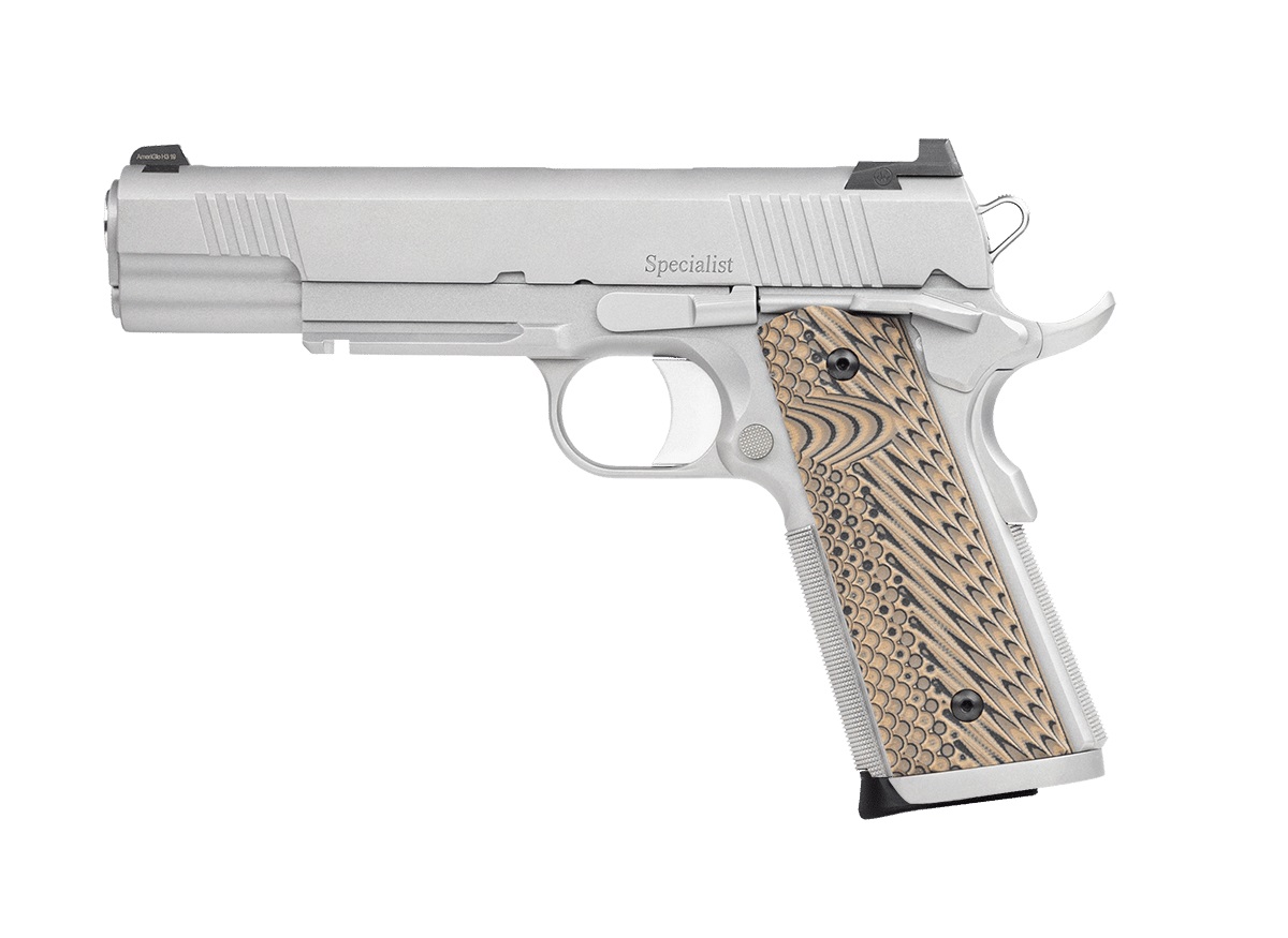 Dan Wesson Specialist 10mm 1911 Pistol with Rail