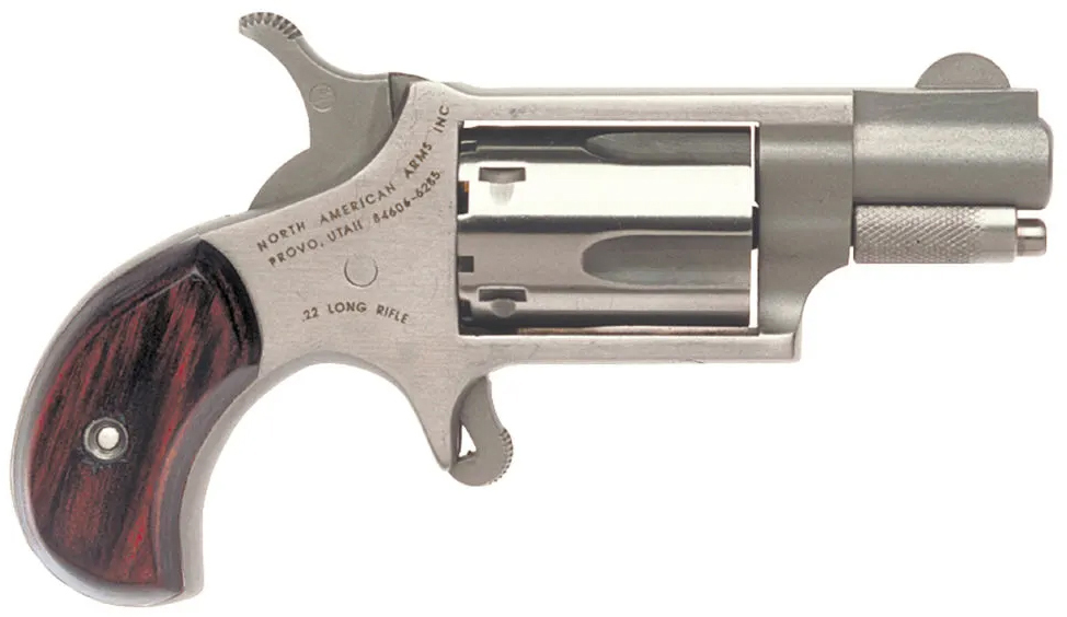 NAM MINI-REV 22LR 1.125SS MATT