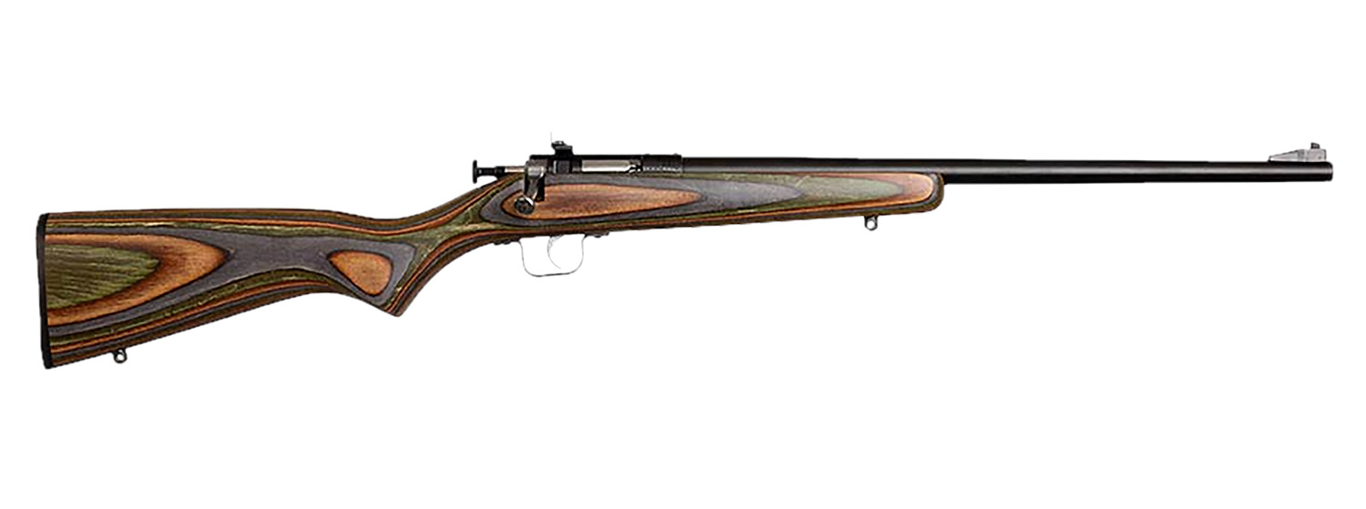 Chipmunk 00005 Gen2 .22 LR Single Shot Rifle, Camo Stock