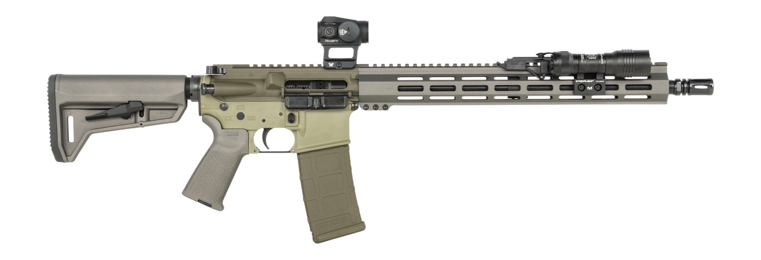 Shark Coast Tactical Bug Bear AR Rifle Bundle